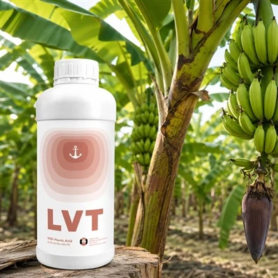 Banan mevasini to'ldirish uchun yuqori kaliyli hümik kislotali o'g'it